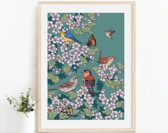 Hawthorn Blossom and Hedgerow Birds Wall Art Print, Blue Tit, Chaffinch, Dunnock and Wren Illustration Print