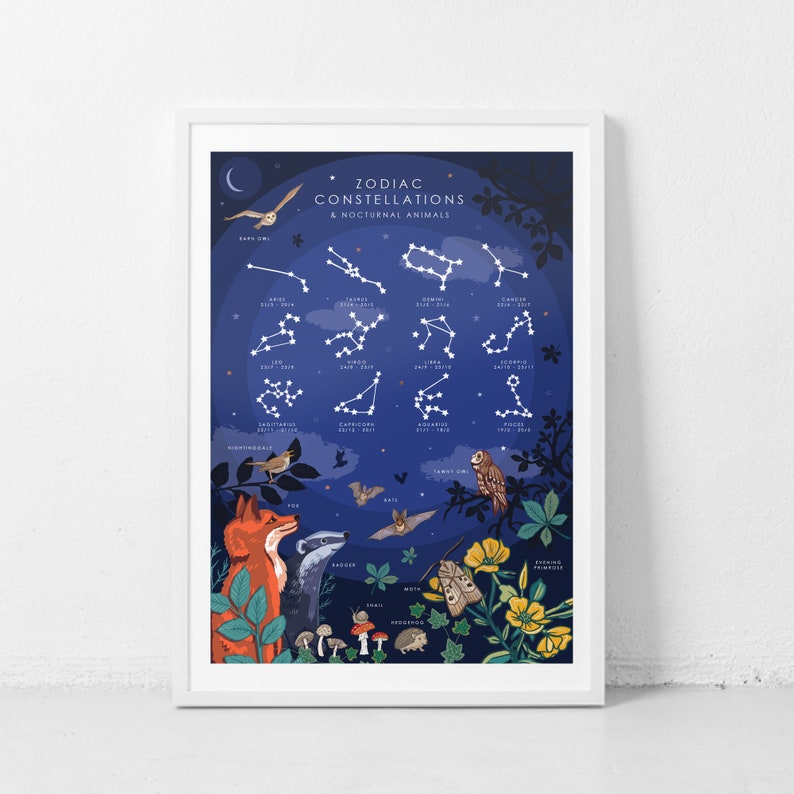 Op de afbeelding: Een blauwe en witte ge&iuml;llustreerde poster met de titel "Diertekring Constellaties & Nachtelijke Dieren". De poster heeft een cirkelvormig ontwerp met de dierenriemconstellaties en hun data, omringd door verschillende nachtelijke dieren, waaronder uilen, vleermuizen, vossen en egels.