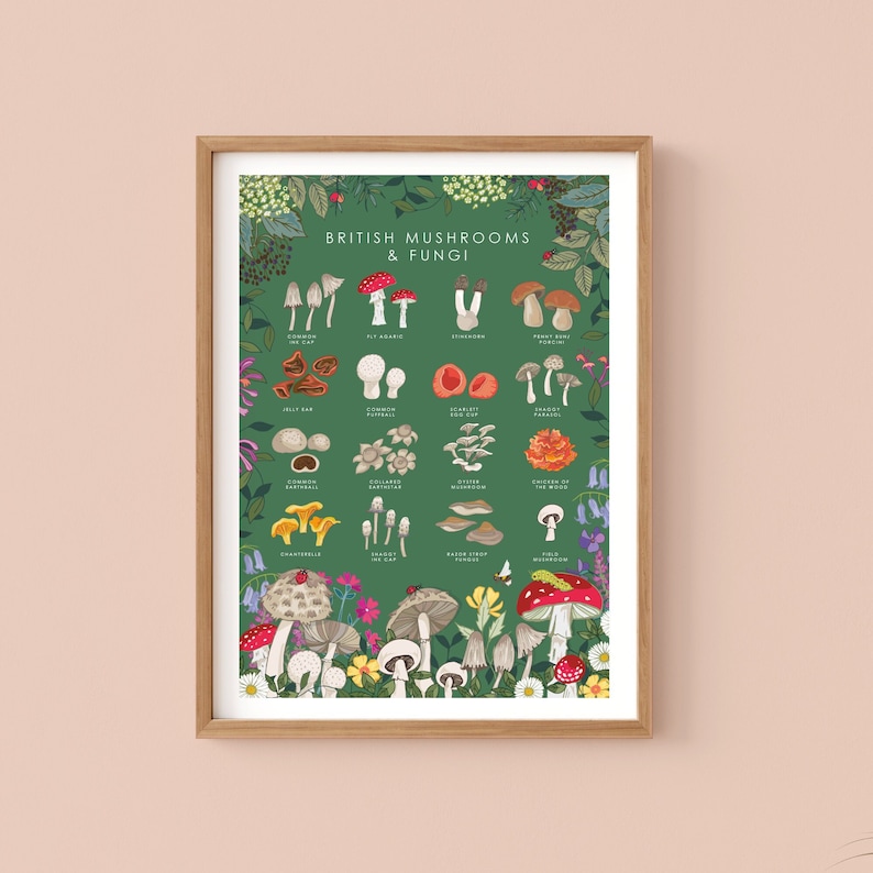 Cartel de setas y hongos, arte botánico de la pared, impresión de guía de la naturaleza, cartel de observadores de vida silvestre imagen 1