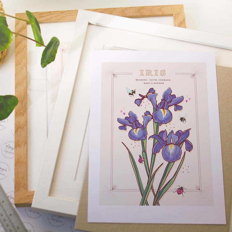 Iris Wall Art Print, Flower Meaning Illustration Print image 6