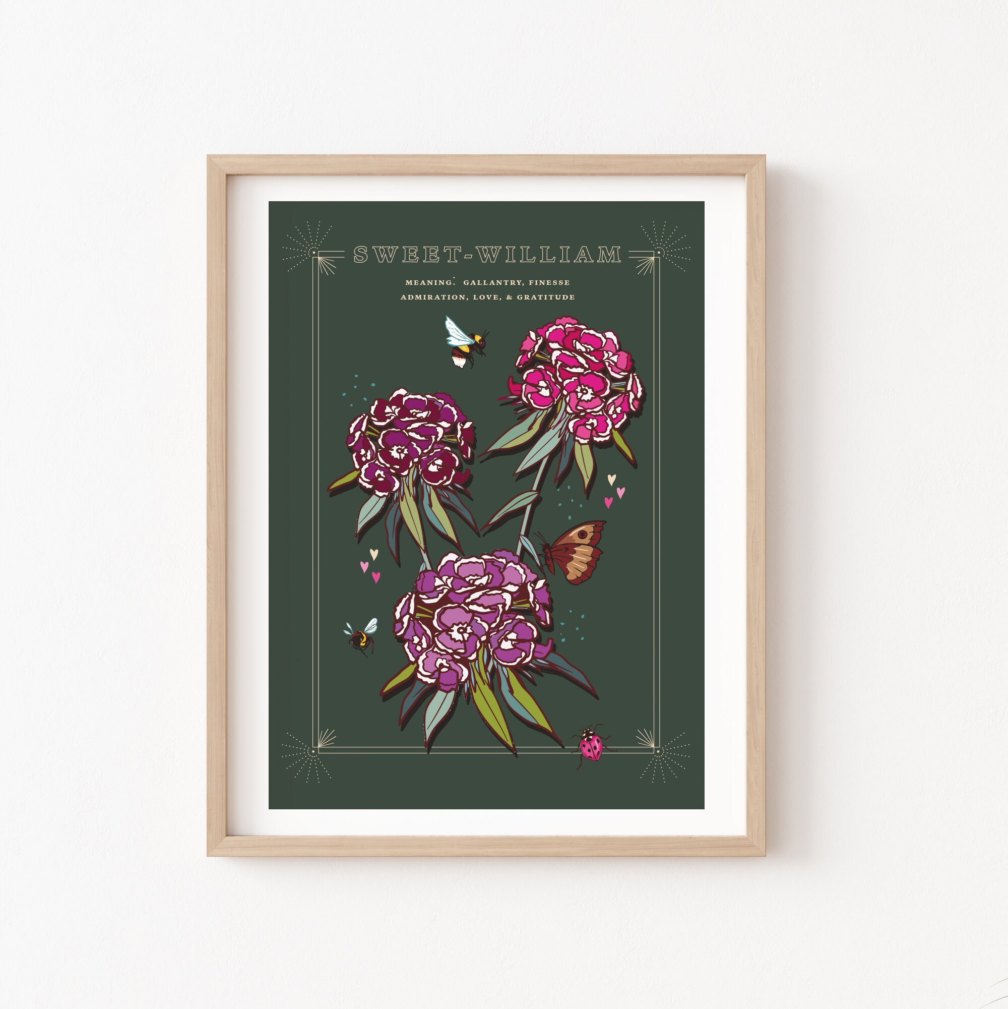 Sweet William Wall Art Print, Flower Meaning Illustration Print - Etsy