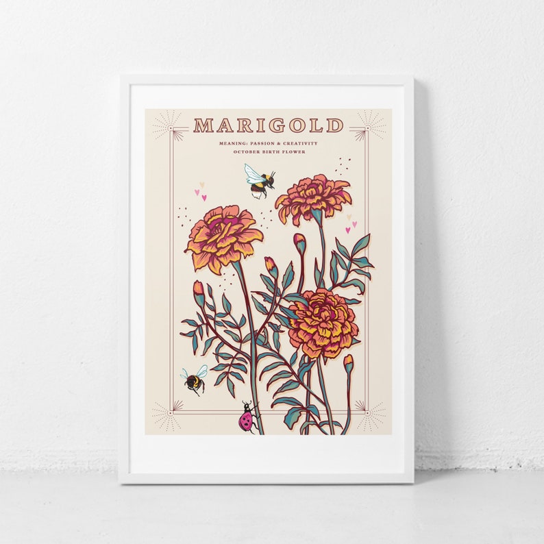 Marigold Wall Art Print October Birth Flower Illustration 