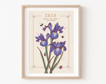 Iris Wall Art Print, Flower Meaning Illustration Print