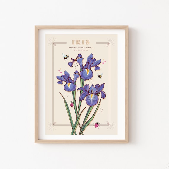 Iris Wall Art Print, Flower Meaning Illustration Print