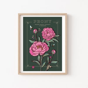 Peony Wall Art Print, Flower Meaning Illustration Print A4 Green Background