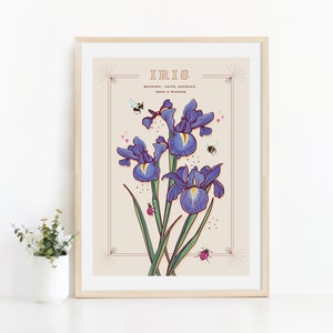 Wall art print of line drawn iris flowers in blue and purple