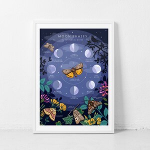Op de afbeelding: Een blauwe en paarse illustratie van de maanfasen met verschillende nachtvlinders rond de maan. De tekst "Moon Phases & Nocturnal Moths" staat bovenaan de illustratie.