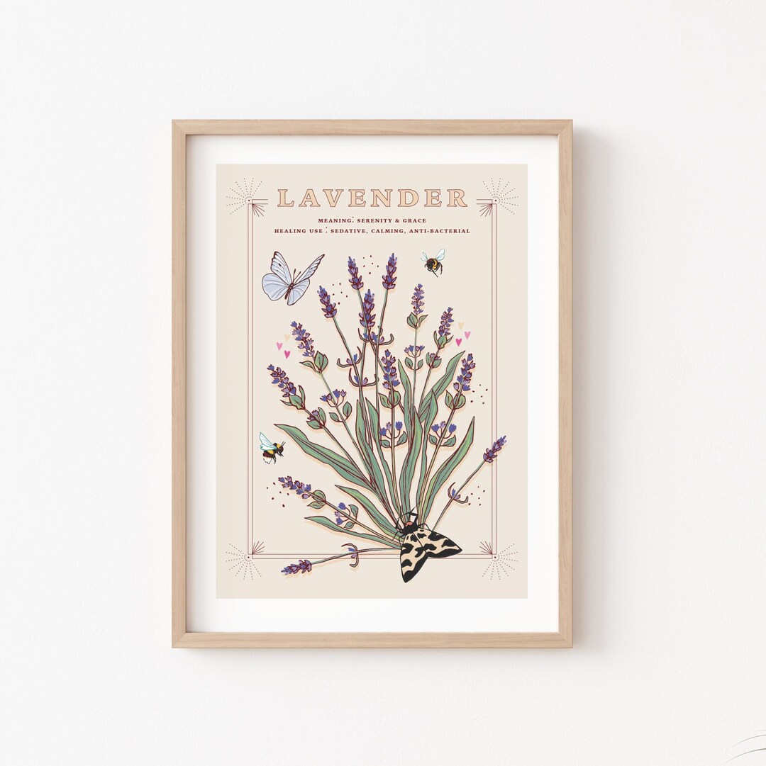 Lavender Wall Art Print, Flower Meaning Illustration Print Etsy