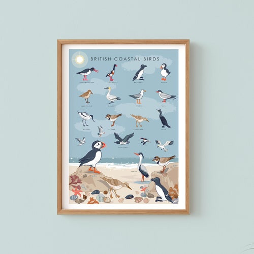 Coastal Birds Wall Art Print, Nature Poster of British Coastal Bird, Coastal Print