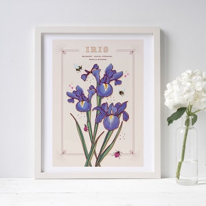 Wall art print of line drawn iris flowers in blue and purple