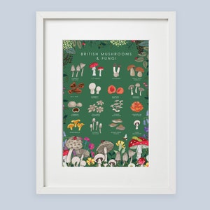 Cartel de setas y hongos, arte botánico de la pared, impresión de guía de la naturaleza, cartel de observadores de vida silvestre imagen 6