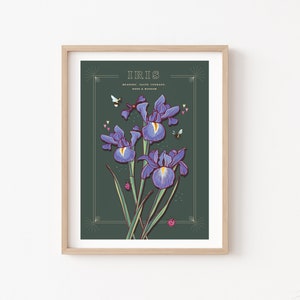 Wall art print of line drawn iris flowers in blue and purple