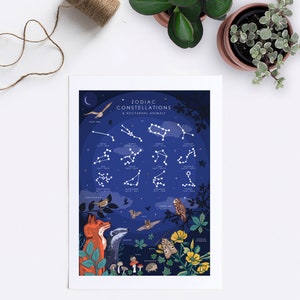 Op de afbeelding: Een blauwe en witte illustratie van de sterrenbeelden van de dierenriem en nachtelijke dieren. De sterrenbeelden zijn omlijnd in wit met witte sterren. De dieren zijn ge&iuml;llustreerd in een grillige stijl en omvatten een vos, een das, een uil, een vleermuis en meer.