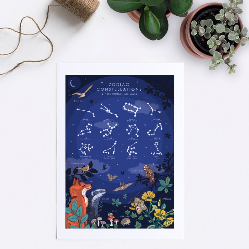Op de afbeelding: Een blauwe en witte illustratie van de sterrenbeelden van de dierenriem en nachtelijke dieren. De sterrenbeelden zijn omlijnd in wit met witte sterren. De dieren zijn ge&iuml;llustreerd in een grillige stijl en omvatten een vos, een das, een uil, een vleermuis en meer.