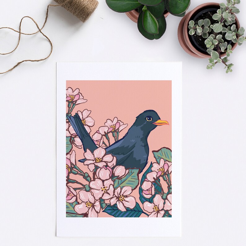 Blackbird in the Cherry Blossom Wall Art Print image 3