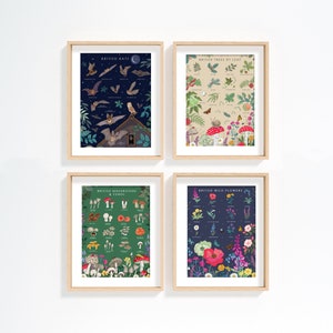 Set di 4 stampe della British Nature Guide sulla fauna selvatica, pipistrelli e fiori selvatici, set di decorazioni murali nei boschi