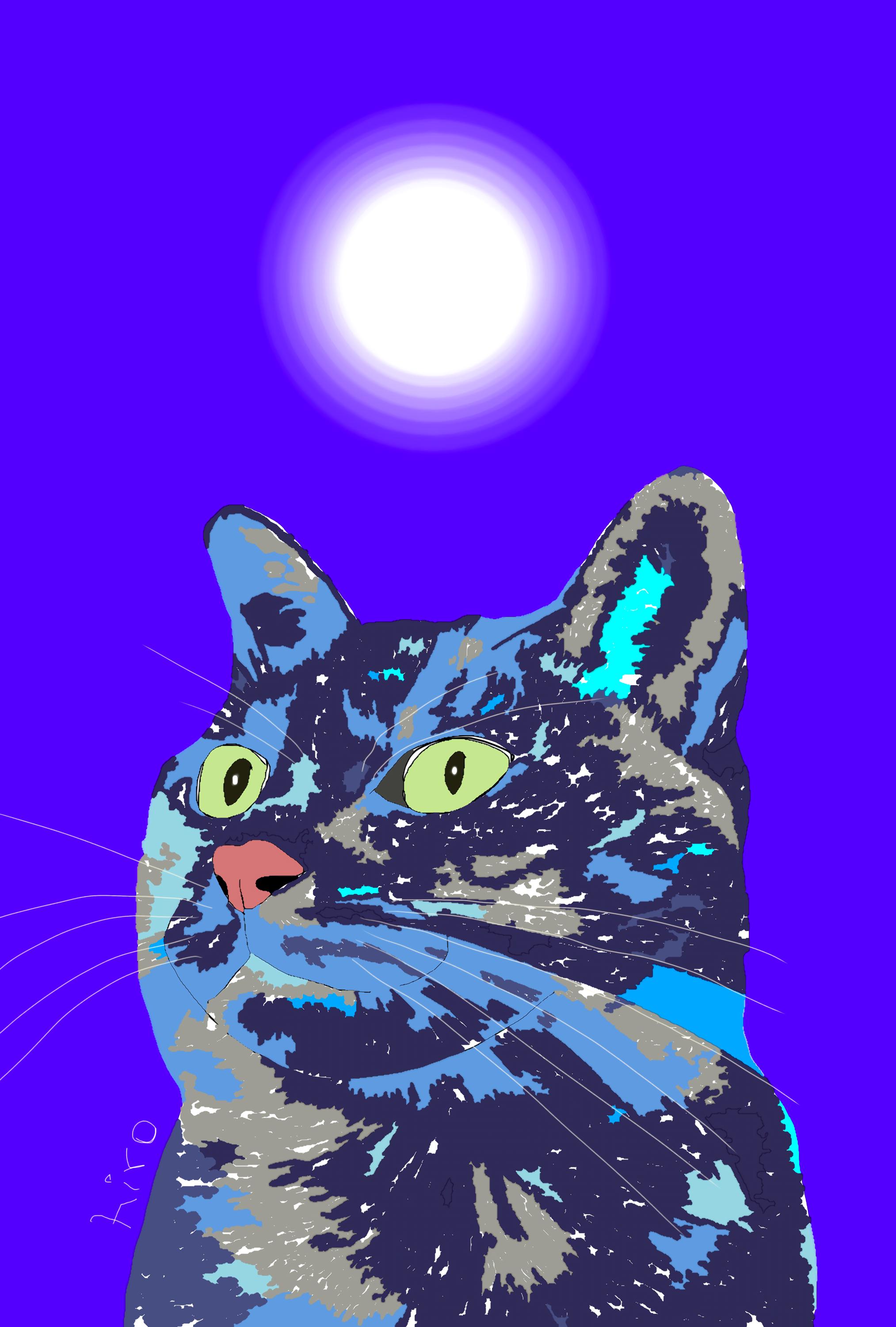 Fritz the cat - Etsy 日本