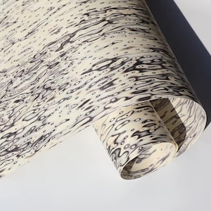 Puede incluir: Una hoja de papel enrollada con un fondo color crema y un patrón de formas orgánicas gris oscuro que recuerdan a las ondulaciones del agua. El patrón incluye pequeños puntos grises oscuros dispersos.