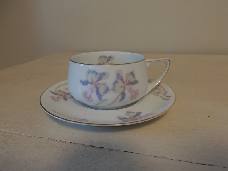 Czechoslovakia Fine Bohemian China Tea Cup&saucer Springtime pattern