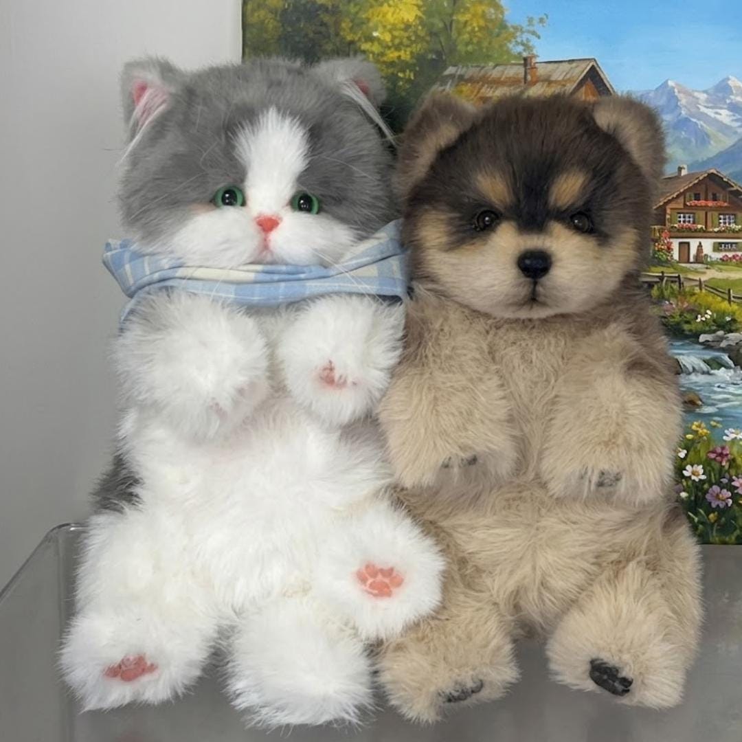 Floppy Weighted Cat Plush Custom - Etsy