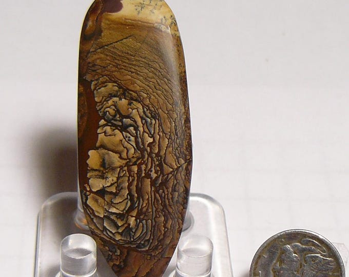Biggs Picture Jasper Slab: Rare Collectible Prefinished Lapidary Stone (25257)