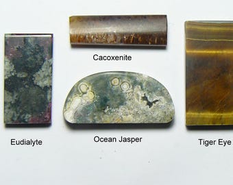 4 lapidary cabs, rare and scarce, Eudialyte, Cacoxenite, Ocean Jasper, Tiger Eye, designer shapes, natural stones and colors, (25202)