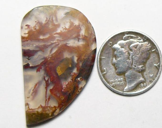 Red Moss Agate cabochon,  flat sides, mirror finish, designer shape, red, black, gray and white, translucent, small lapidary cab   (25161)