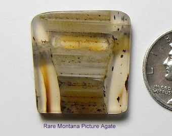Rare Montana Picture Agate slab (looks to me like an Indian Breastplate), all natural (25298)