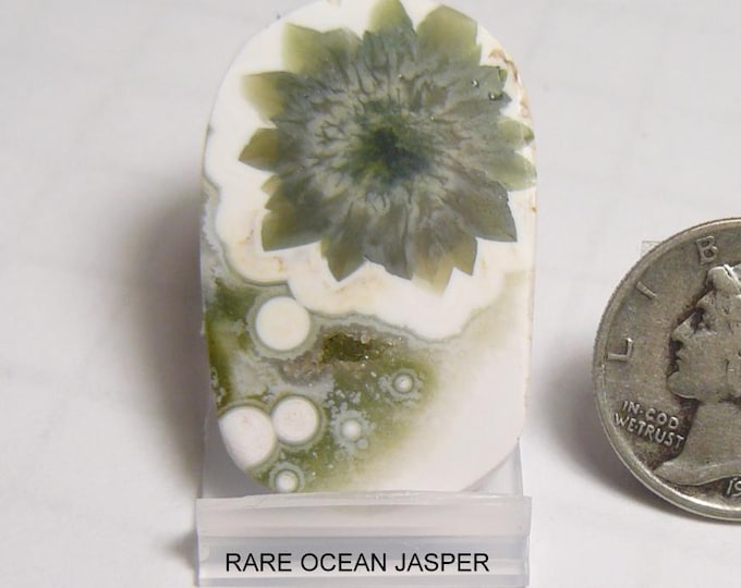 Rare Ocean Jasper Lapidary Slab: Pinwheel Orb with Druzy Pocket Prefinished Slab (25253)