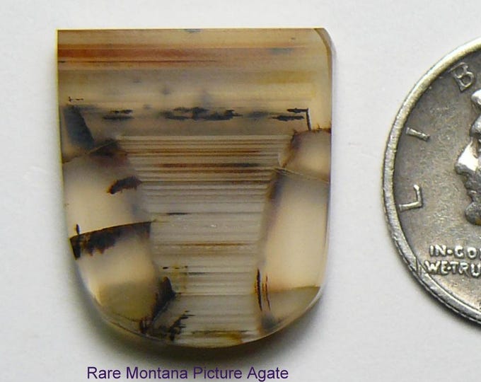 Rare Montana Picture Agate slab (inclusion similar to an Indian Breastplate), natural, ring size (25299)
