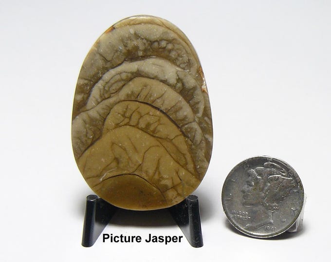Rare Orbiqular Jasper, prefinished mirror finish, all sides flat, from Oregon, USA  (25279)
