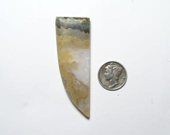 Prudent Man Plume Agate cabochon, rare, flat sides, mirror finish, tooth shape, gold white & brown color, translucent, unique cab  (25195)