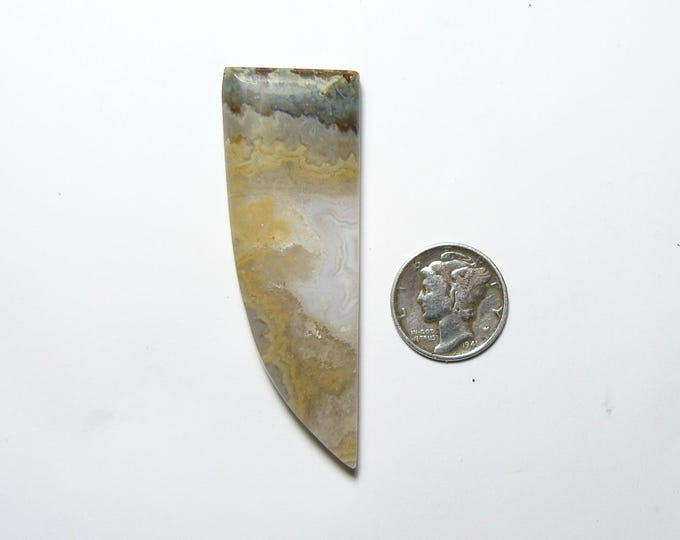 Prudent Man Plume Agate cabochon, rare, flat sides, mirror finish, tooth shape, gold white & brown color, translucent, unique cab  (25195)