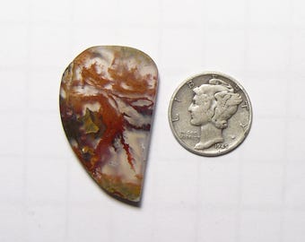 Red Moss Agate Slab: Mirror Polished Translucent Gemstone, Jewelry Making (25161)