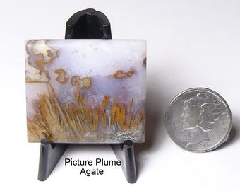 Plume Picture Agate Slab: Reed-Like Plants, Translucent (31x27x6 mm)
