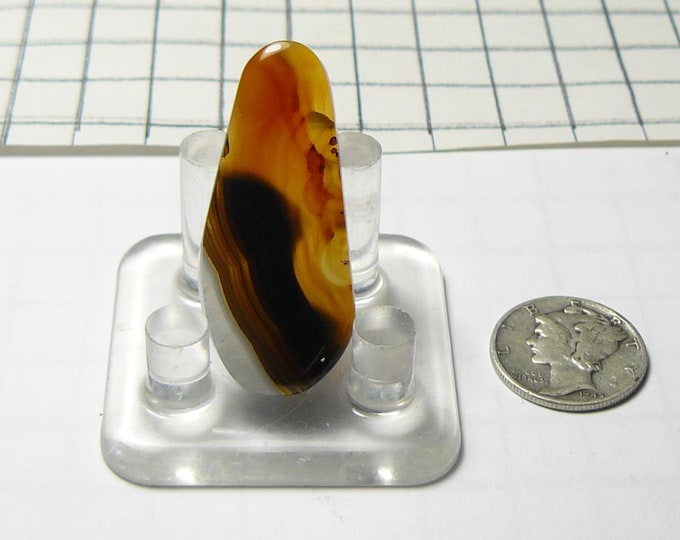 Polished Montana Agate Slab: Translucent Brown, Black & Gray Stone (25204)