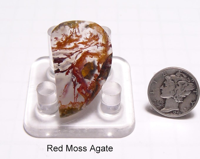 Red Moss Agate Slab: Mirror Polished Translucent Gemstone, Jewelry Making (25161)