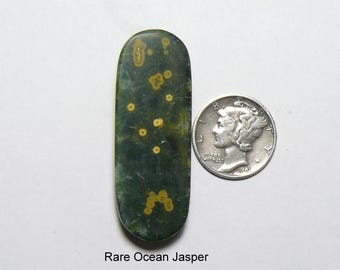 Rare Ocean Jasper Slab: Gold & Green Crystalized, mirror Polished Lapidary Stone (25275)