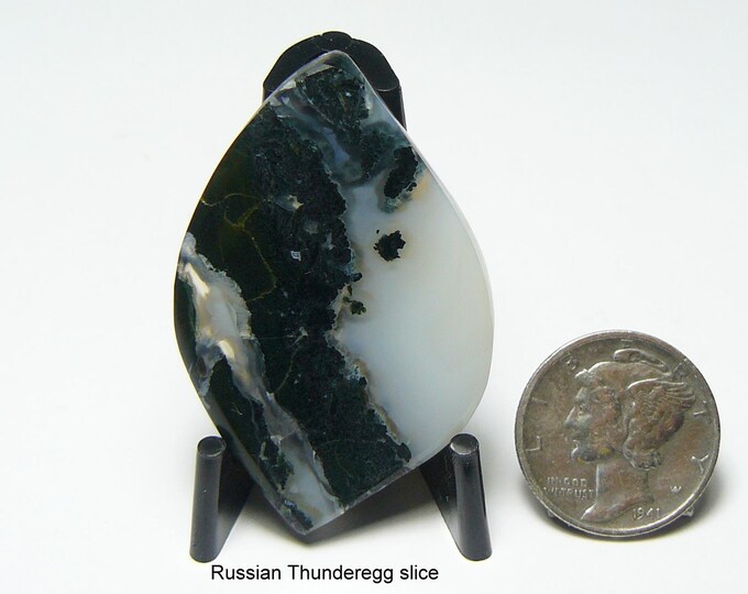 Rare Russian thunderegg slice cabochon, flat sides, mirror finish designer shape back and white, translucent, lapidary cab (25199)
