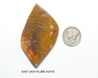 Designer Cabochon, East Java Plume Agate , 30 x 54 x 5 mm, mirror polish, natural, rare lapidary material  ( c8732)