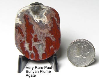 Rare Paul Bunyan Plume Agate Slab: Lapidary Display Stone, Mirror Finish