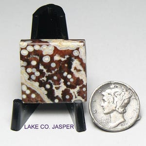 May include: A square-cut Lake Co. Jasper stone featuring a dark brown and cream-colored orbicular pattern, displayed on a black plastic stand next to a 1941 silver Mercury dime for scale. The text LAKE CO. JASPER is printed below the stone.