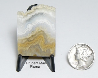 Prudent Man Plume finished agate rare slab, polished Utah lapidary stone (25265)