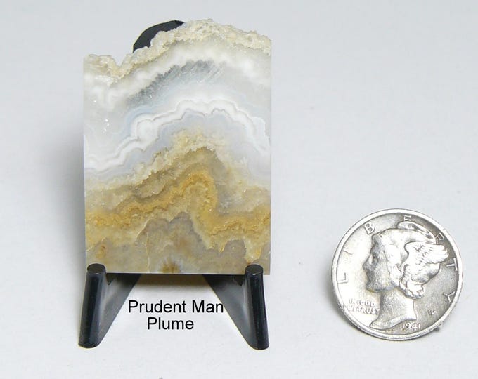 Rare Prudent Man Plume Agate Slab: Gold, White & Gray Lapidary Stone (25265)