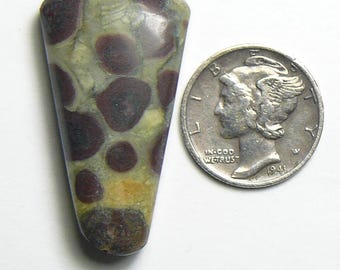 Oolite,  sedimentary limestone algae from Bristlecone Pine Forest State Park, rare natural (26024)