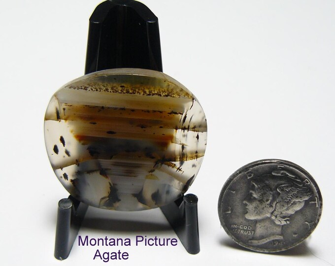 Rare Montana Picture Agate slab (unique inclusion similar to an Indian Breastplate), all natural (25297)