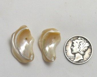 12 Mother of Pearl drilled shells for earrings or bracelet, shiny & iridescent, they look like ears, length 7/8", 12 ears 6.00  (Ea5421)