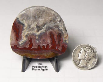 Rare Paul Bunyan Plume Agate Slab: Collectible Lapidary Stone, Mirror Finish