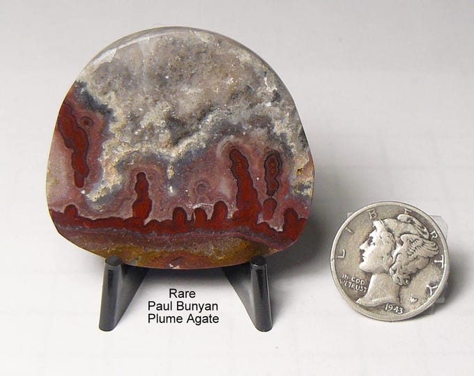 Rare Paul Bunyan Flame Agate Slab: Prefinished Lapidary Collectable Display Stone Mirror finish (25252)