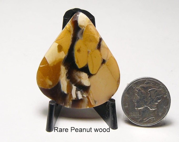 Rare Peanut Wood Lapidary Slab: Polished Designer Shape, Natural Colors (25261)